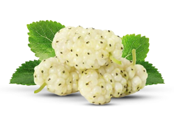 White Mulberries