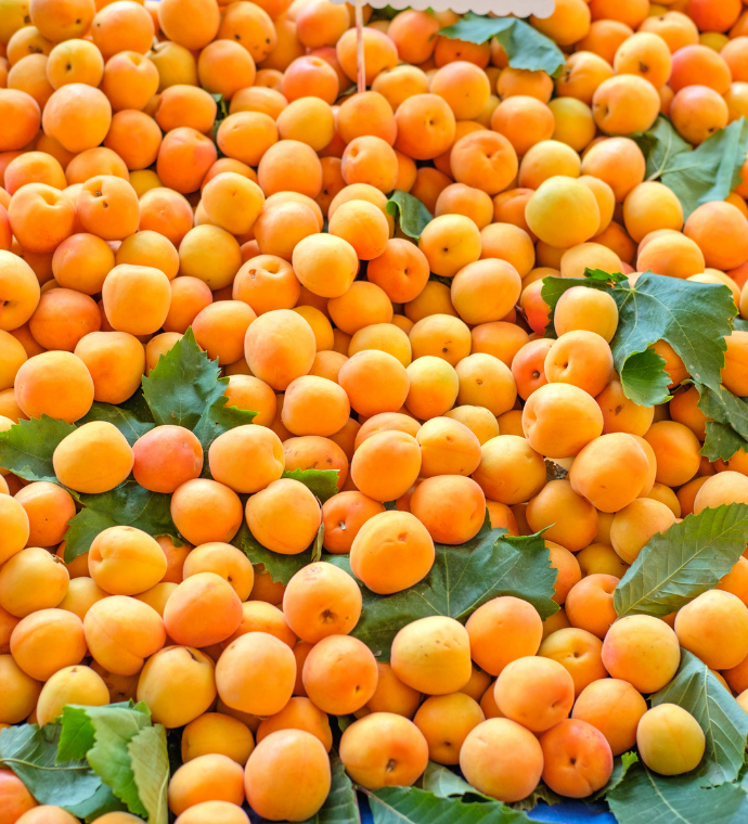 Apricot Paste