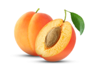 Dried Apricots
