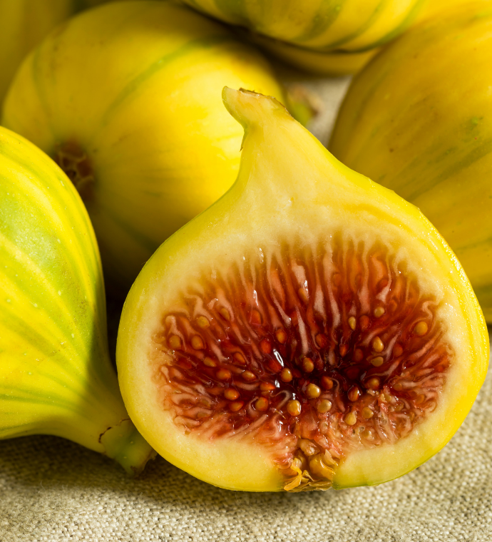 Diced Figs