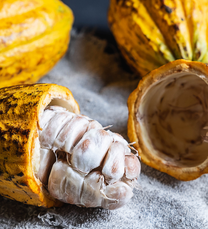 Cacao Nibs