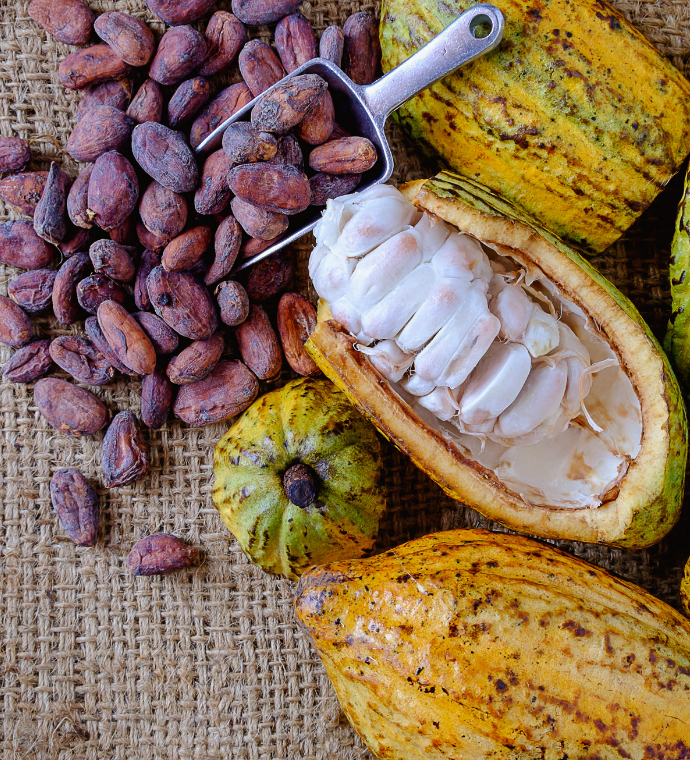 Cacao Nibs