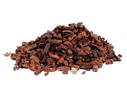 Kakao Parçacığı