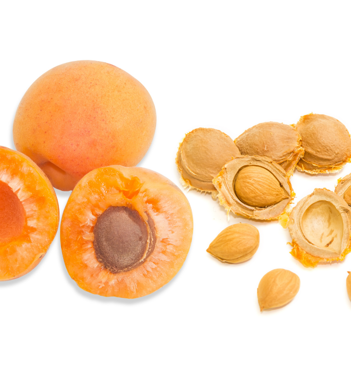 Sweet Apricot Kernels