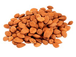 Sweet Apricot Kernels