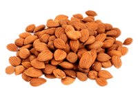 Sweet Apricot Kernels