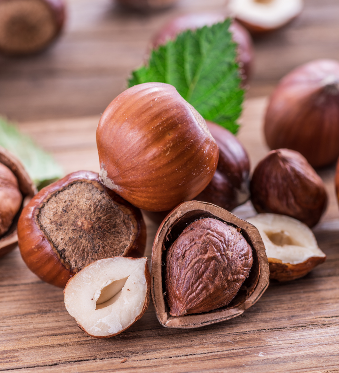 Raw Hazelnuts