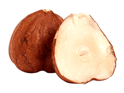 Raw Hazelnuts