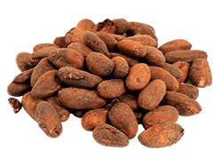 Cacao Beans