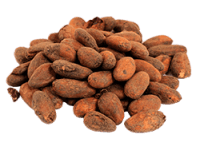 Cacao Beans