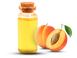 Apricot Kernel Oil